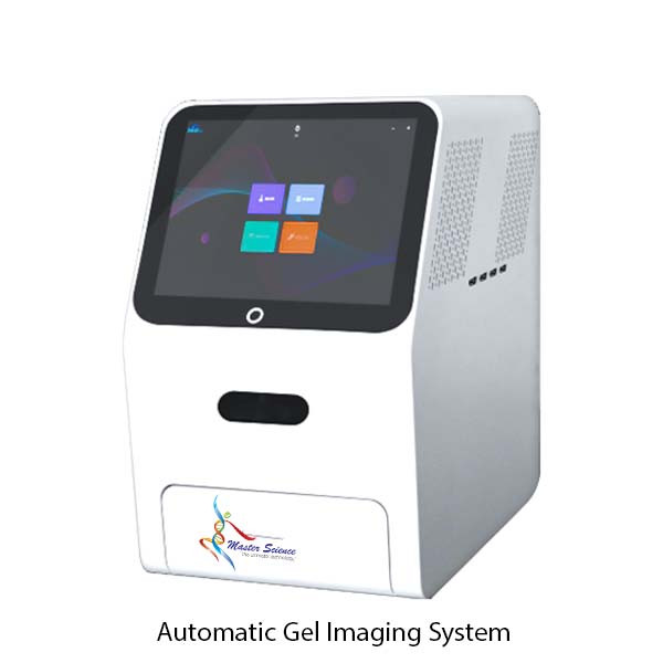Automatic Gel Imaging System