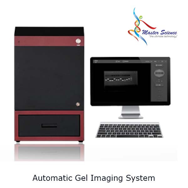 Automatic Gel Imaging Analysis System
